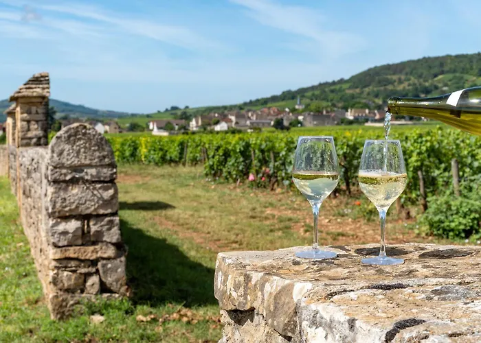 Charmante Maison Climatisee Avec Son Jardin A 10 Minutes De Dijon
